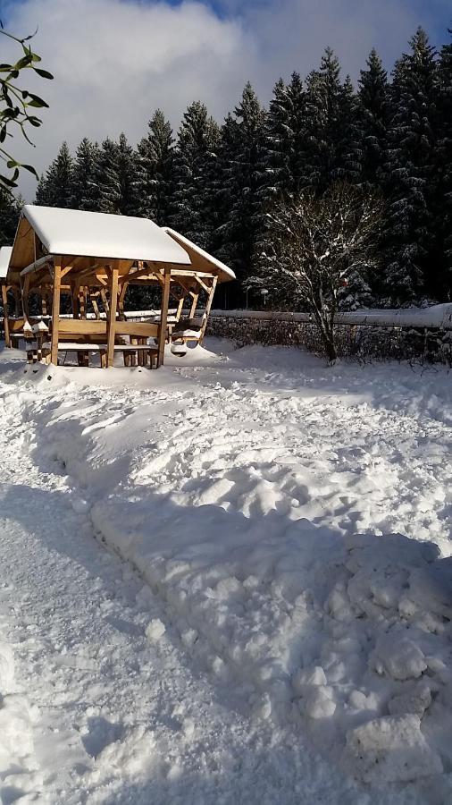 Hotel Pension Holl Und Boll Am Hexenstieg. Clausthal-Zellerfeld Esterno foto